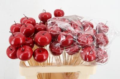 Huis en tuindecoratie overig H%