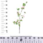 56dfd581-2cf9-49ad-af55-a2ce7528f93d.webp