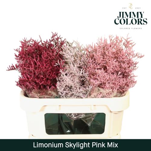 Limonium overig kleurbehandeld H%