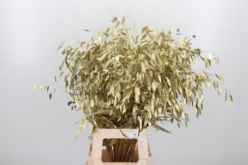 Siergras kleurbehandeld H%