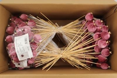 Huis en tuindecoratie overig H%