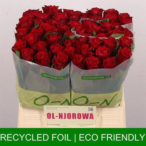 Rosa grootbloemig Red Ribbon