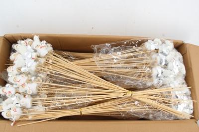 Huis en tuindecoratie overig H%