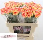 586ae5d7-306b-4d75-beff-10f7affefcc1.jpg
