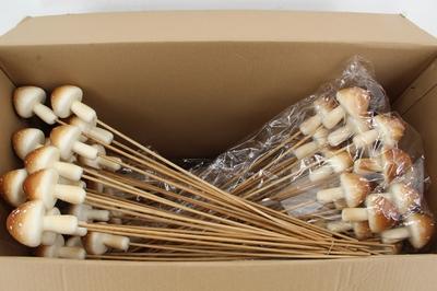 Huis en tuindecoratie overig H%