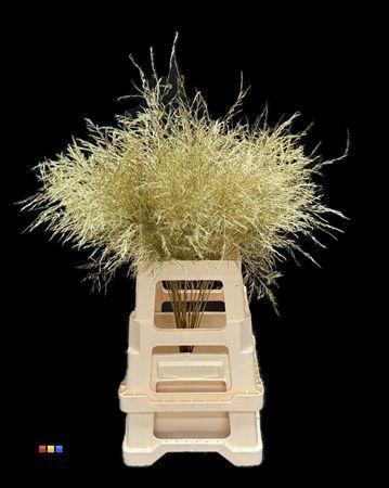 Decoratiegroen kleurbehandeld per bos H%