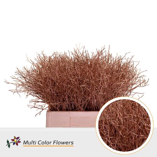 Vaccinium kleurbehandeld H%