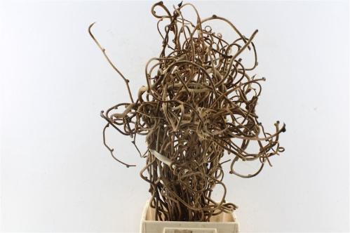 Decoratiegroen overig per bos