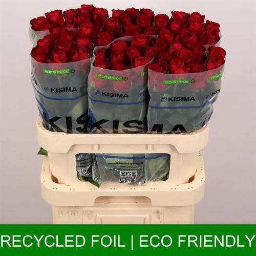 Rosa grootbloemig Madam Red