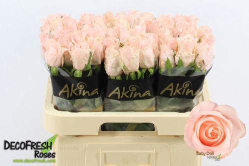 Rosa grootbloemig Baby Doll