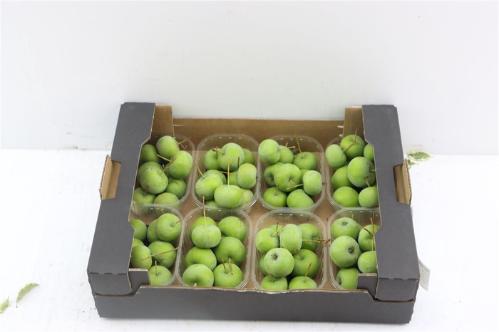 Siervruchten per bak Malus overig