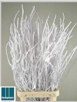 Betula kleurbehandeld H%