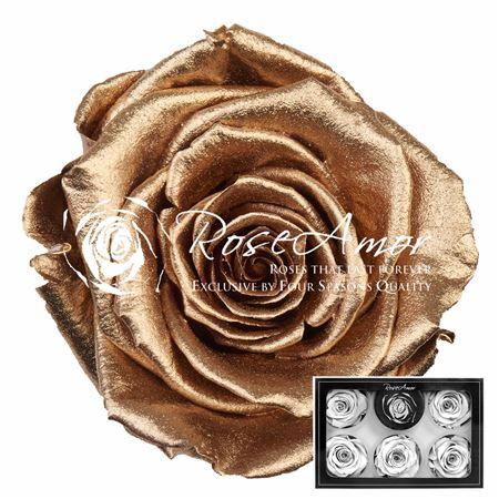 Rosa grootbloemig kleurbehandeld H%