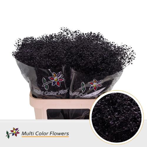 Gypsophila overig kleurbehandeld H%