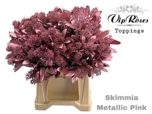 Skimmia per bos overig kleurbehandeld H%