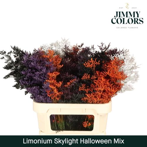 Limonium overig kleurbehandeld H%