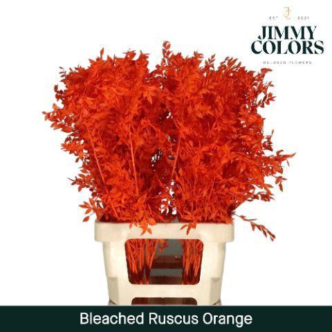 Snijbloemen overig kleurbehandeld H%