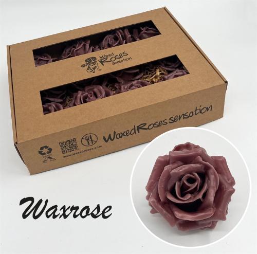 Rosa grootbloemig gewaxt H%