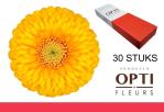 5b8edc02-dc88-49aa-b6ce-c56d45da5489.jpg