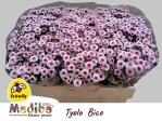 5befba6c-64e1-4cf2-8cd4-ecd9f1424afe.jpg