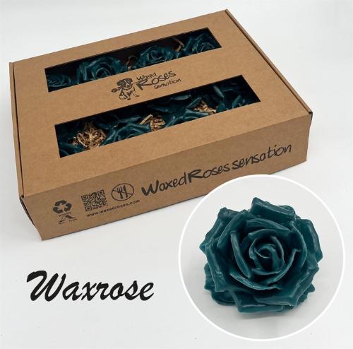 Rosa grootbloemig gewaxt H%
