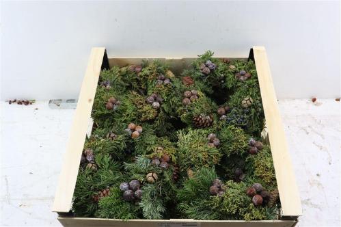 Siervruchten per stuk Sierfruit krans H%