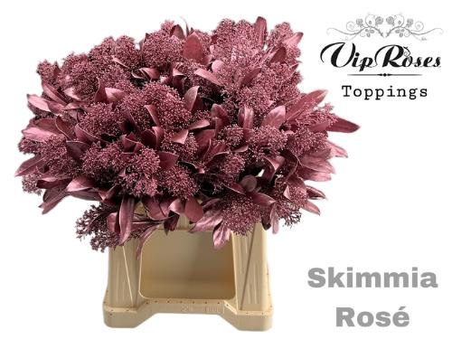 Skimmia per bos overig kleurbehandeld H%