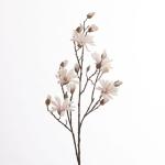 5c5fd950-b203-40f8-a94b-b321d65afe7e.jpg