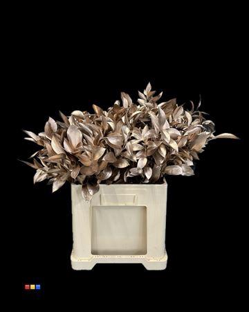 Ruscus kleurbehandeld H%