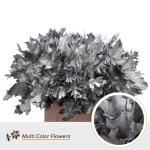 5cb1227c-fa80-4741-ad8f-f84ddd4af0a3.jpg