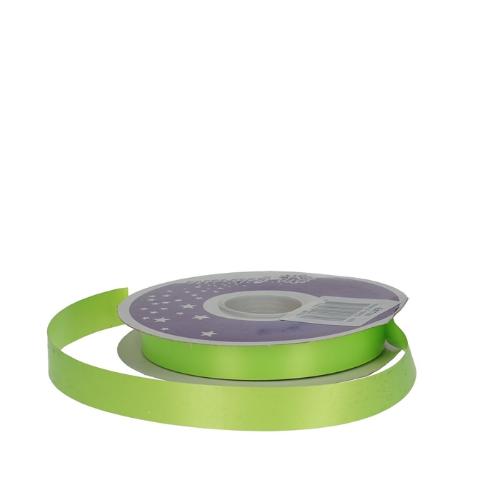 Ribbon Poly seta 19mm 409