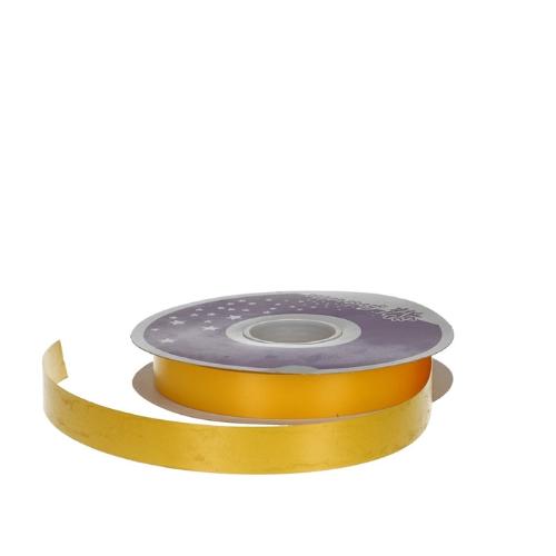Ribbon Polyseta 19mm 02