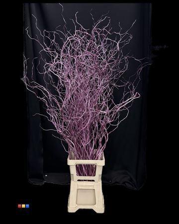 Salix kleurbehandeld H%