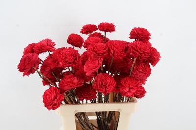 Huis en tuindecoratie overig H%