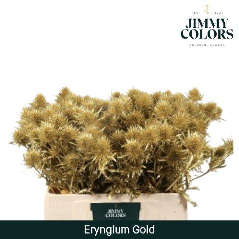 Eryngium planum kleurbehandeld H%