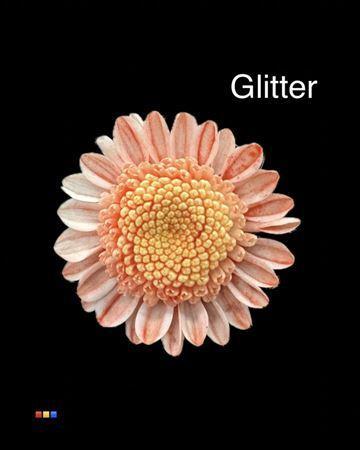 Chrysanthemum Indicum Grp tros kas kleurbehandeld H%