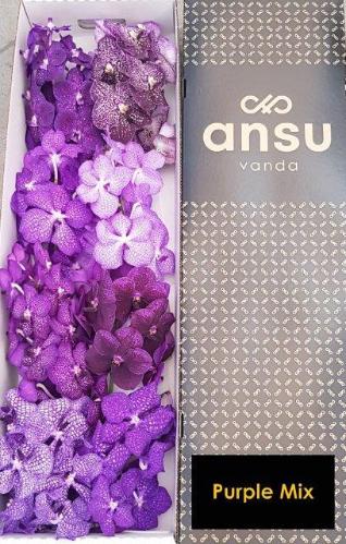 Vanda per tak gemengd