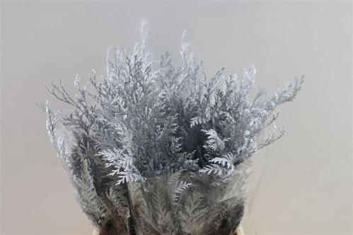 Decoratiegroen kleurbehandeld H%