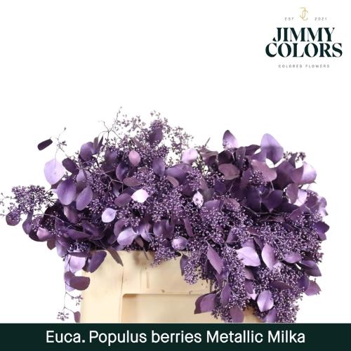 Eucalyptus kleurbehandeld per bos H%