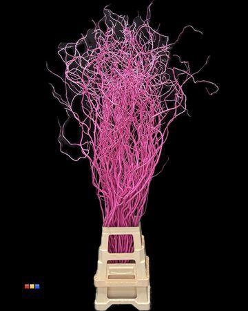 Salix kleurbehandeld H%