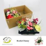 603ff277-cd9a-4fdf-9bd8-652b2dacc740.jpg