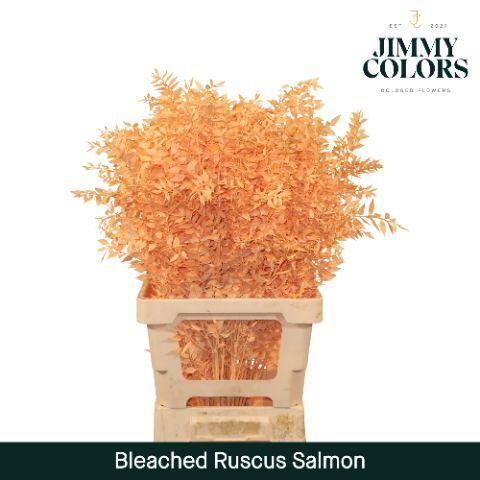 Snijbloemen overig kleurbehandeld H%