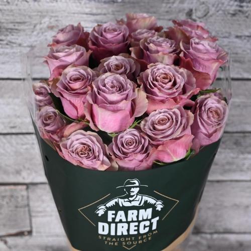 Rosa grootbloemig overig