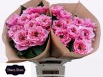 60cdea7a-66c5-4a47-9fab-1ad13b30596a.jpg
