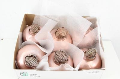 Huis en tuindecoratie overig H%