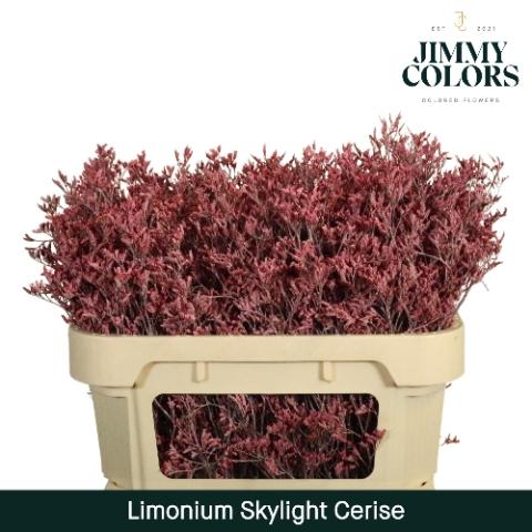 Limonium overig kleurbehandeld H%