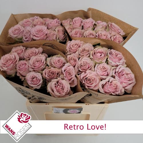 Rosa grootbloemig Retro Love!