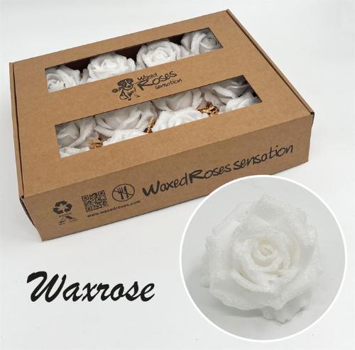 Rosa grootbloemig gewaxt H%