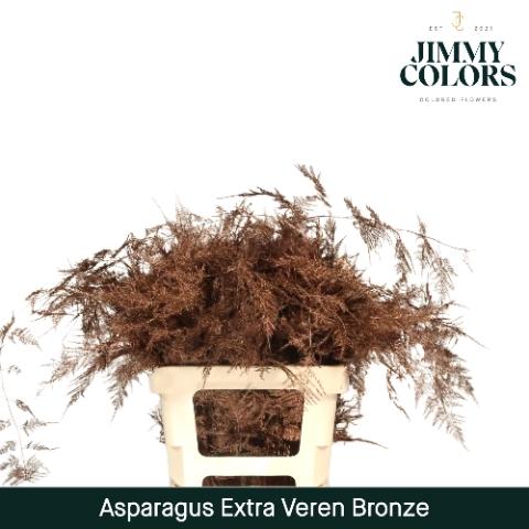 Asparagus overig kleurbehandeld H%
