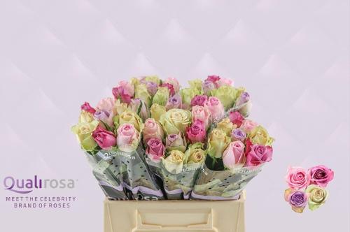 Rosa grootbloemig gemengd in bos